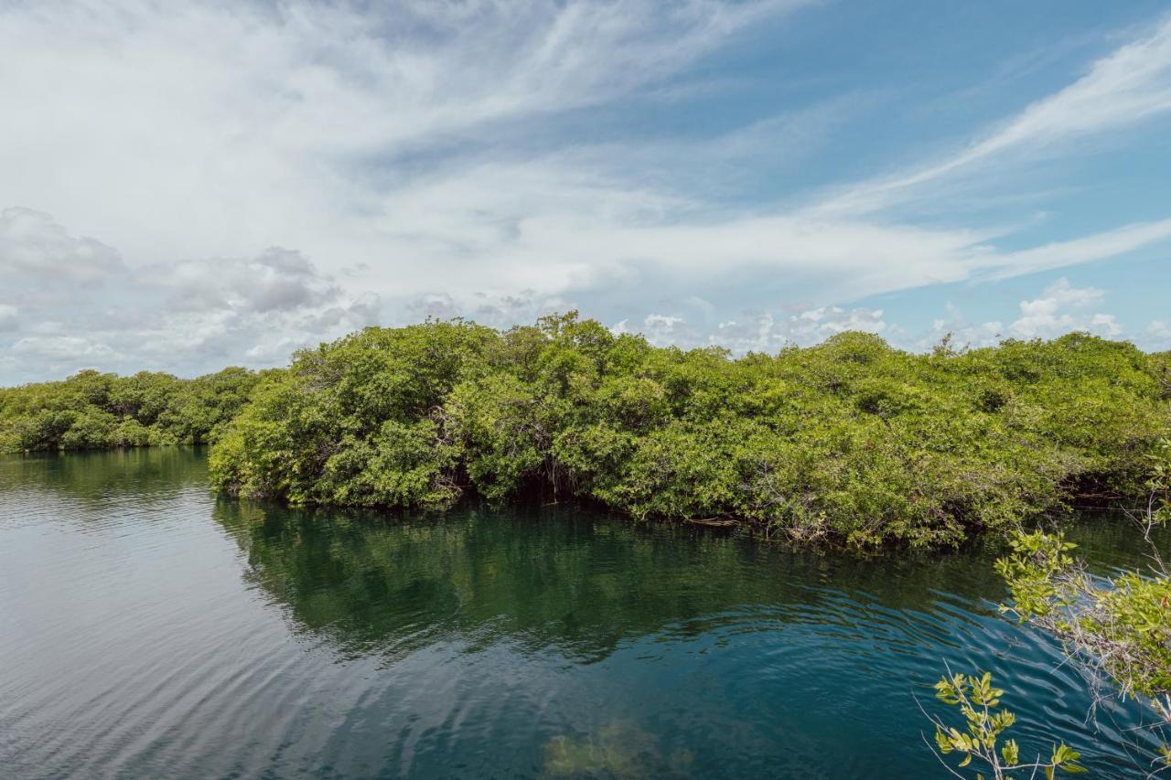 Yaxchen Tulum Cabanas & Cenote Extérieur photo