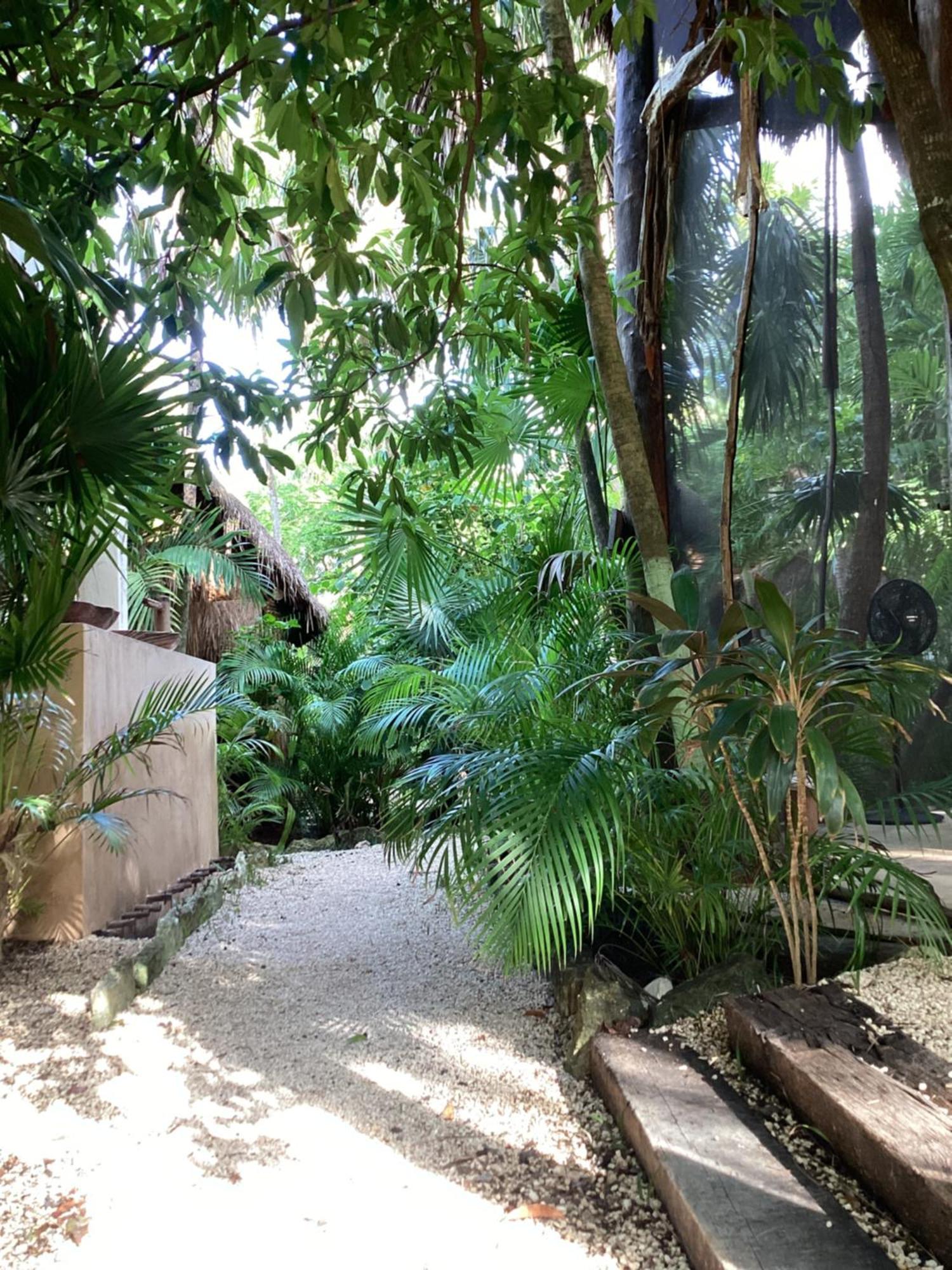 Yaxchen Tulum Cabanas & Cenote Extérieur photo